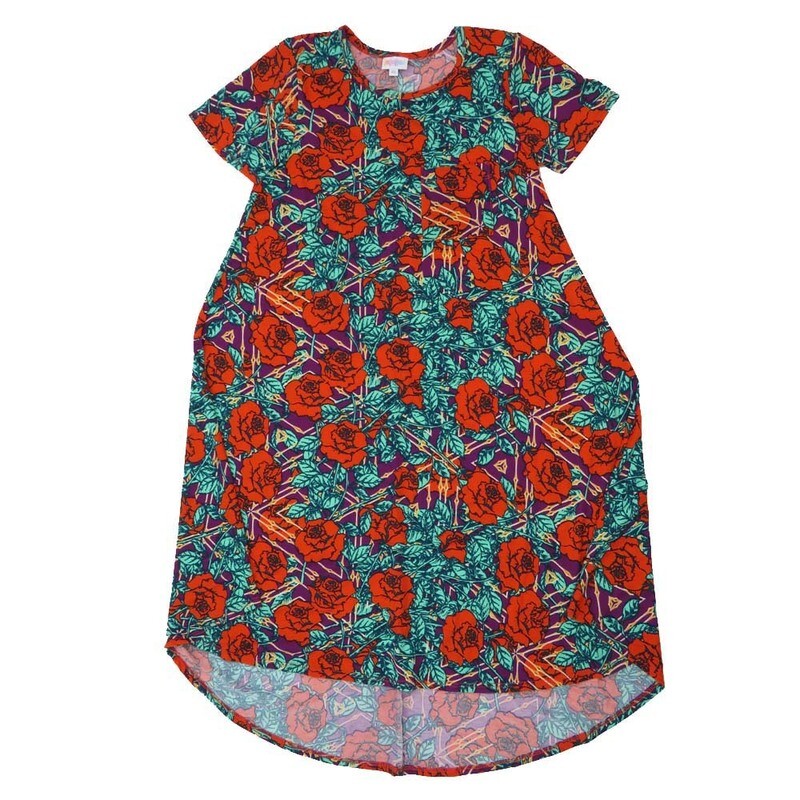 LuLaRoe CARLY b X-Small (XS) Floral Roses Geometric Swing Dress fits womens sizes 2-4  B-XS-204  Retail $55