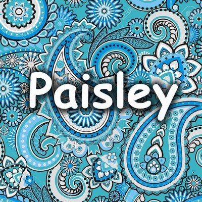 Paisley and Mandalas OS LuLaRoe Leggings