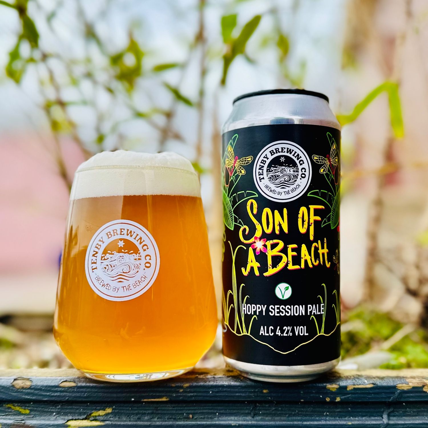 Son of a Beach 4.2% (v)