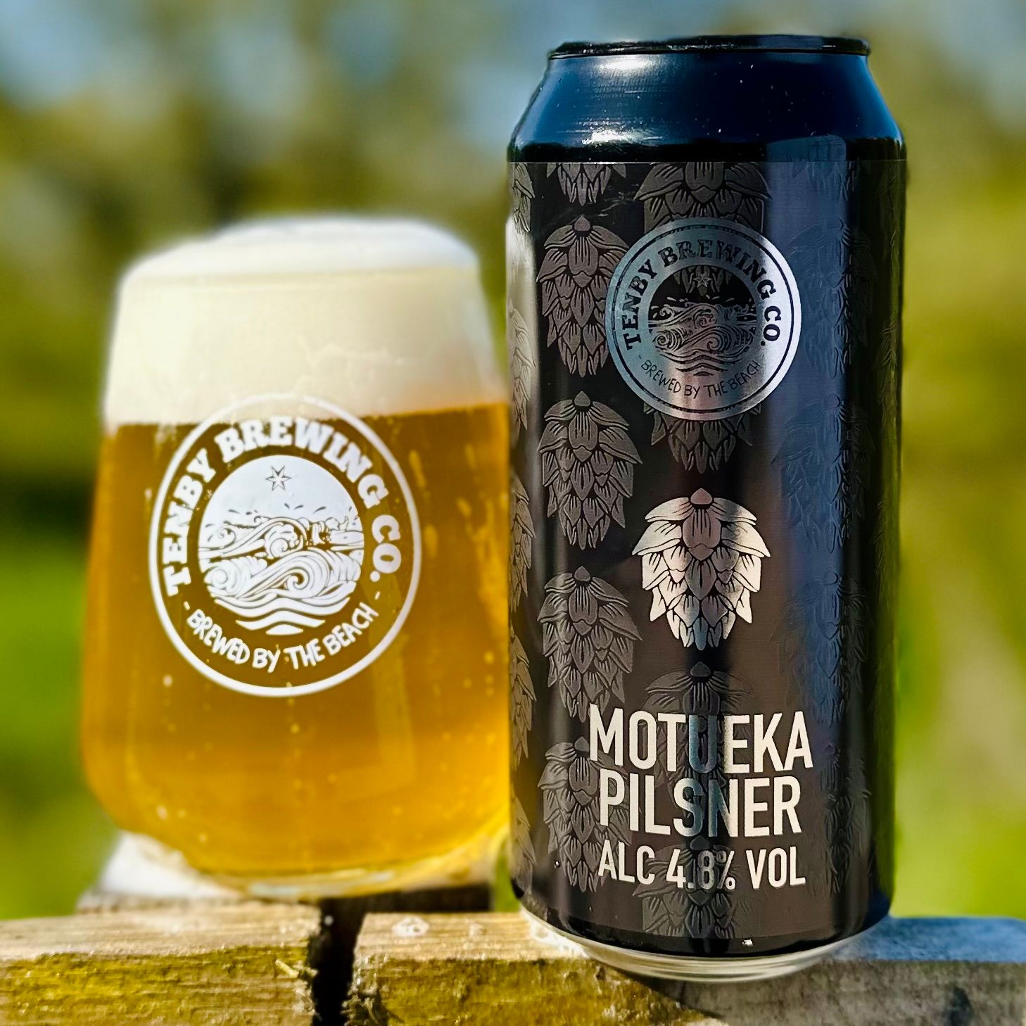 Motueka Pilsner 4.8% (v) (GF)