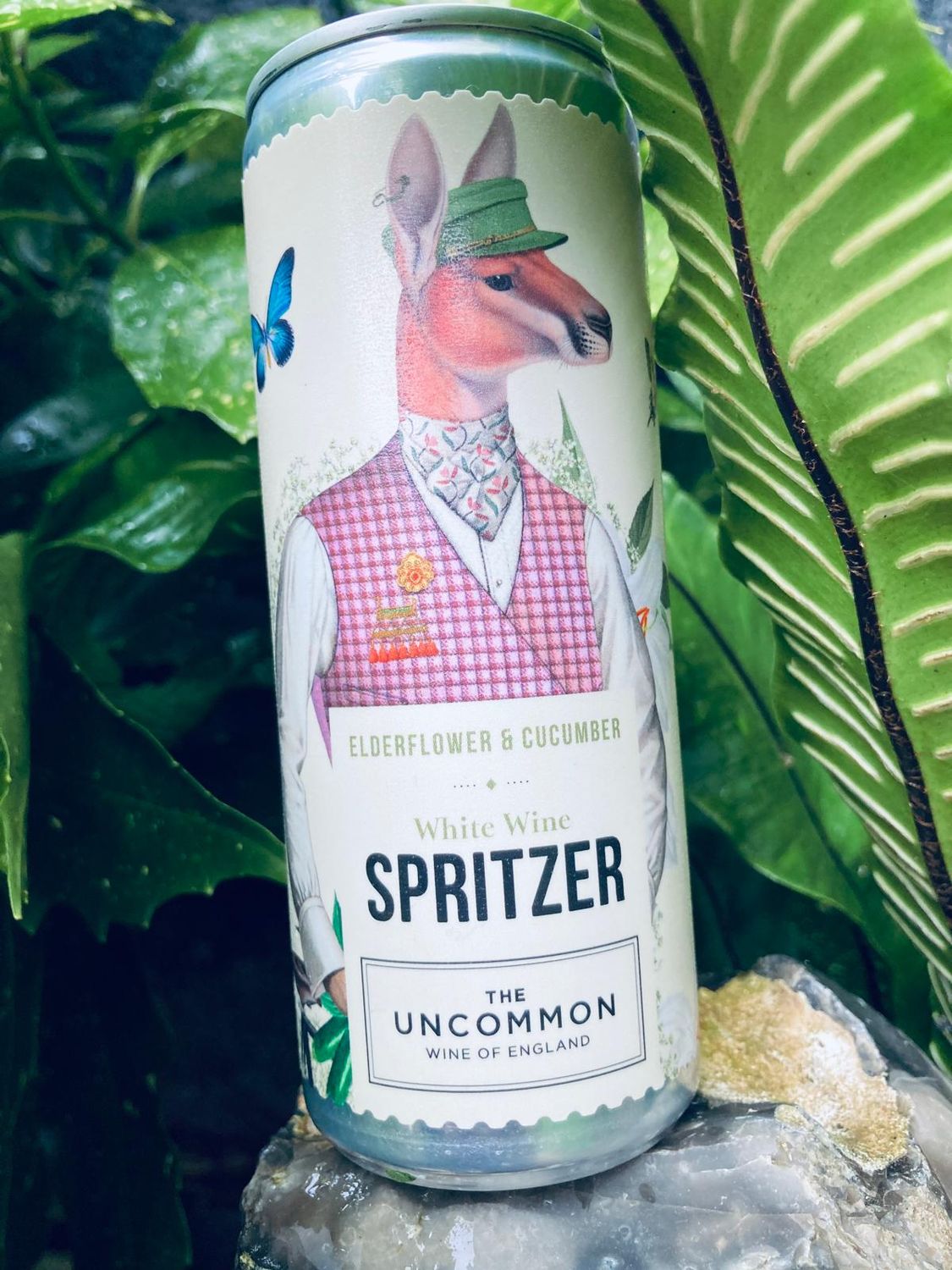 SPRITZER CASE x12 (Peggy &amp; Alfie)