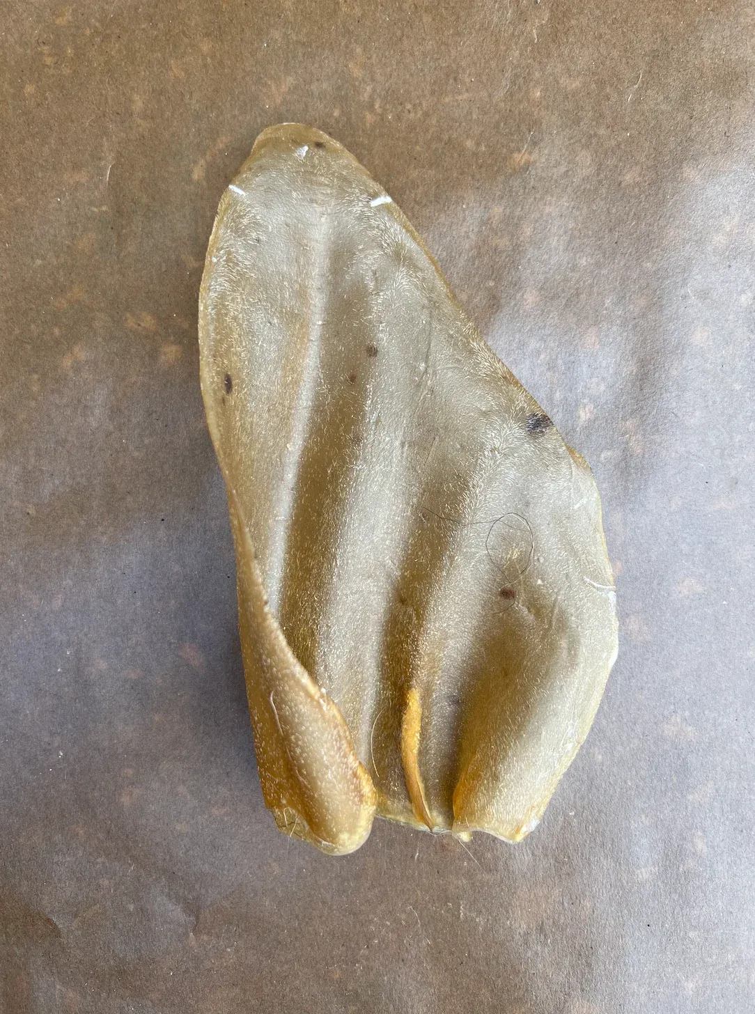 Nature's Own XL Cow ear
