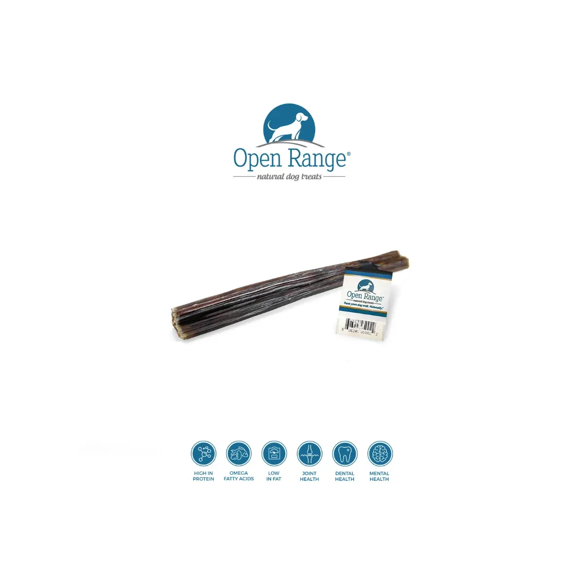 Open Range 12" Bully Chomper Flattened