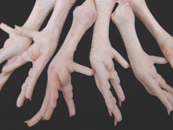Meateaters Chicken Feet