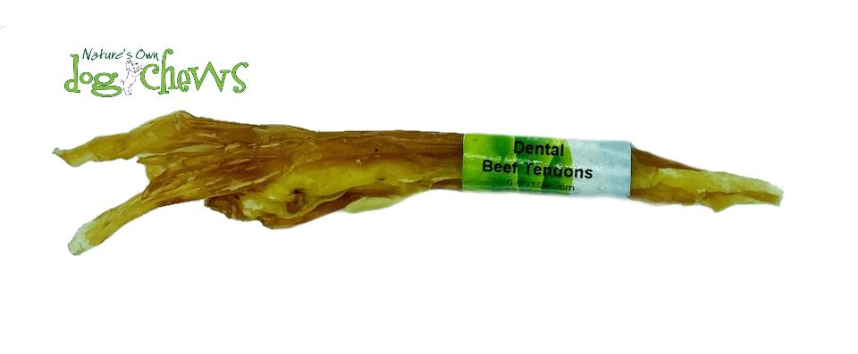 Nature's Own Dental Beef Tendon 6-9" 1 pc