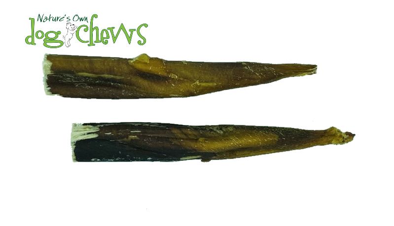 Nature's Own Buffalo Bully Stick Lower Odour 6"
