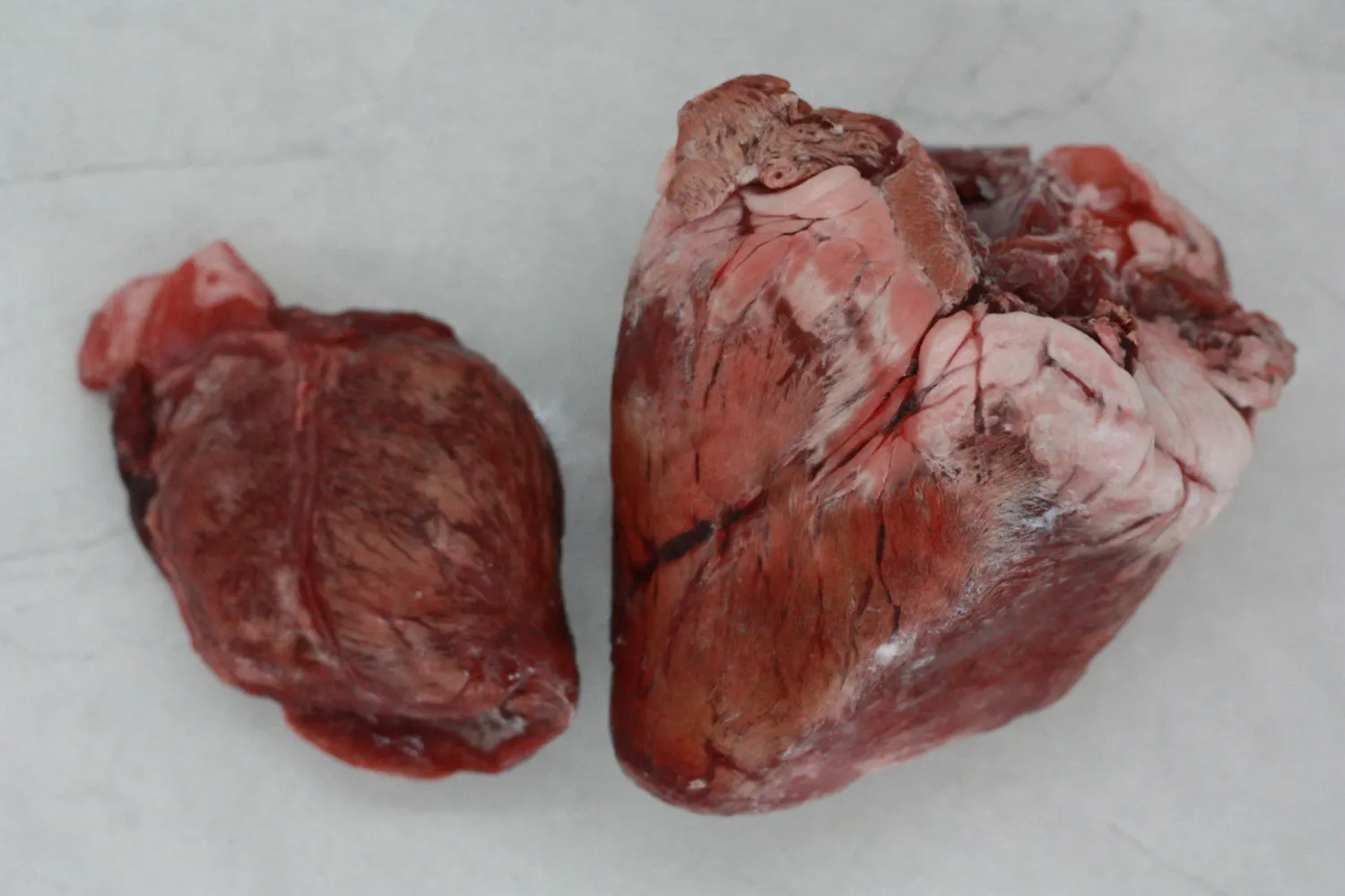 Meateaters Pork Heart