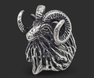 Large 316L Stainless Steel Ram Ring