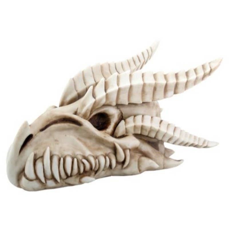 Dragon Skull Head Small(1)