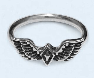 Small 316L Stainless Steel Wings Ring