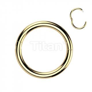 16G 1/4" Titanium Half Closure Secure Hook Hinged Segment Ring