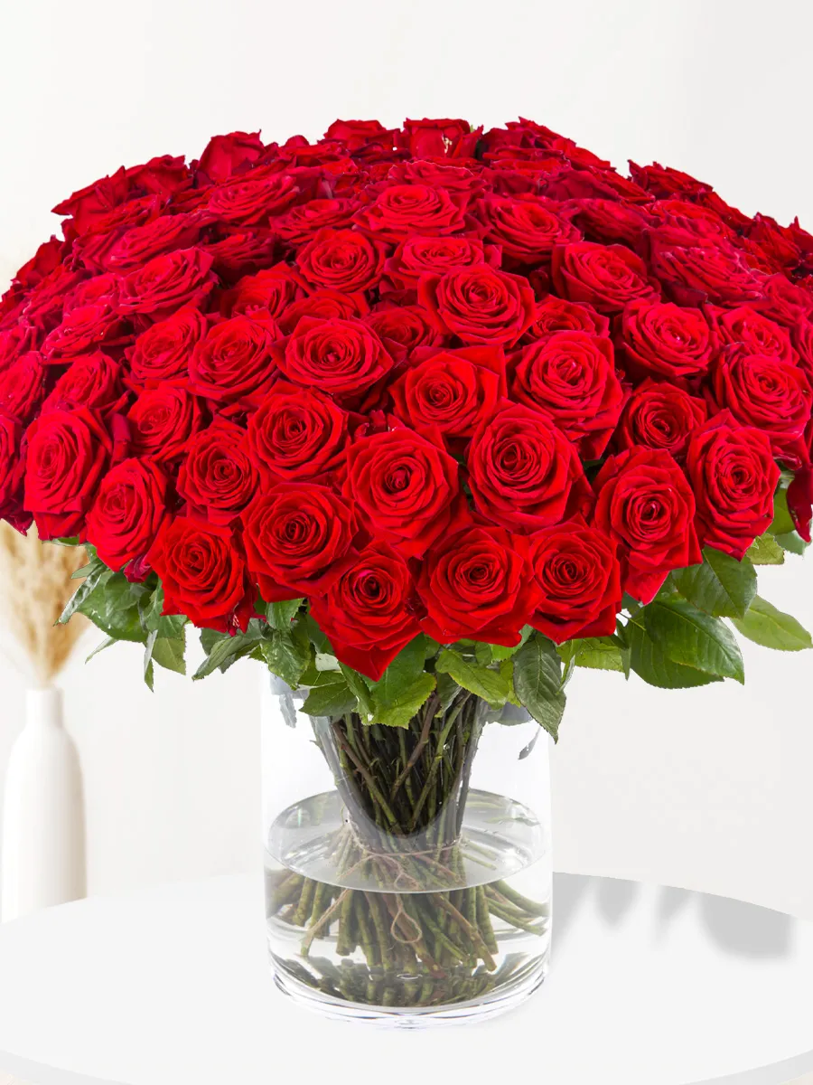 100 rode rozen - premium rozen - Red Naomi