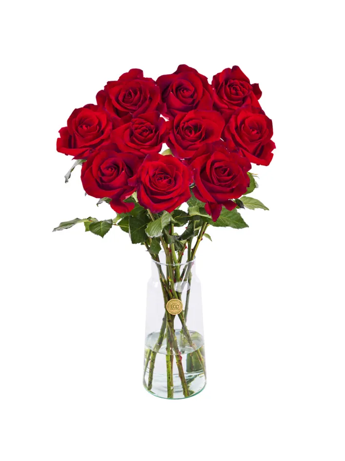 10 rode rozen - XL rozen - EverRed