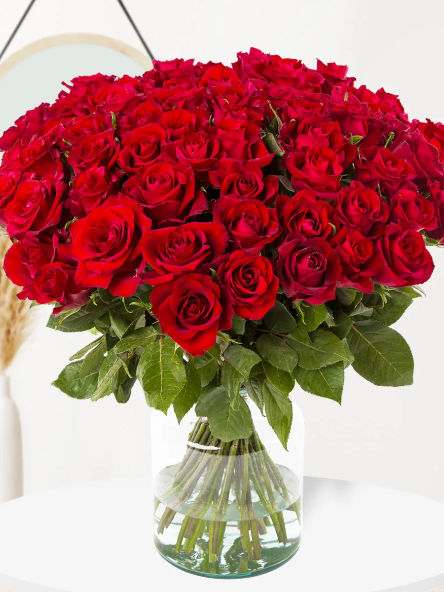 80 rode rozen - XL rozen - EverRed