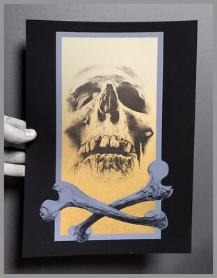 Grey Frame Skull
