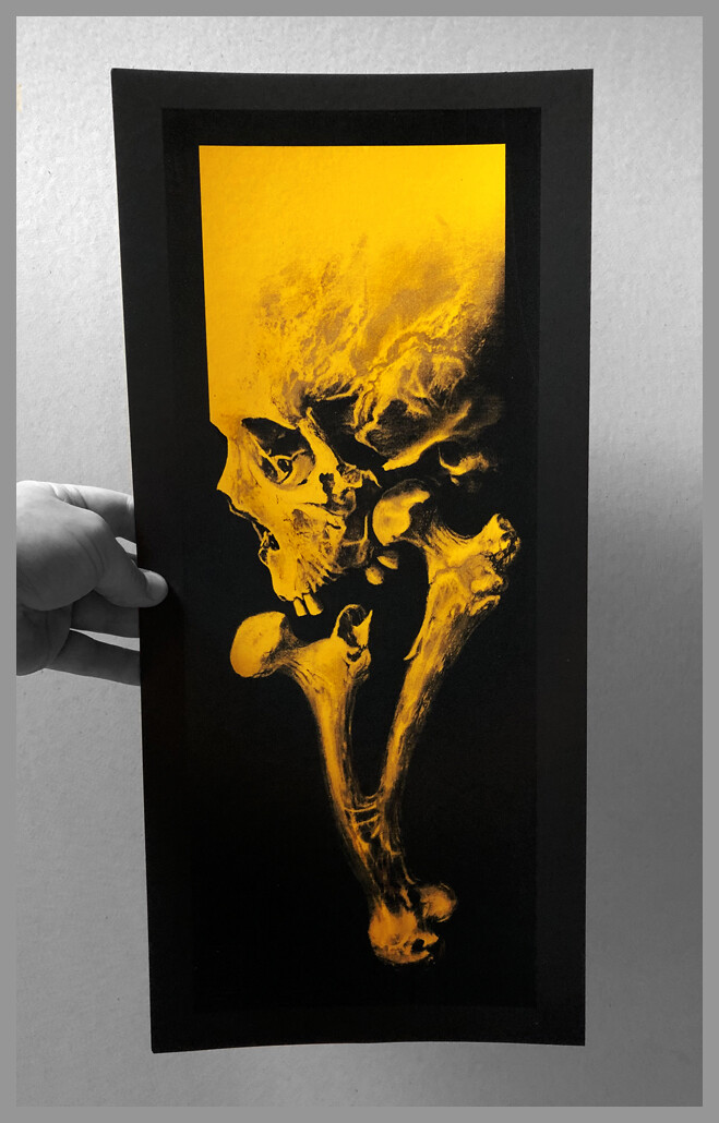 Yellow Bones Skull