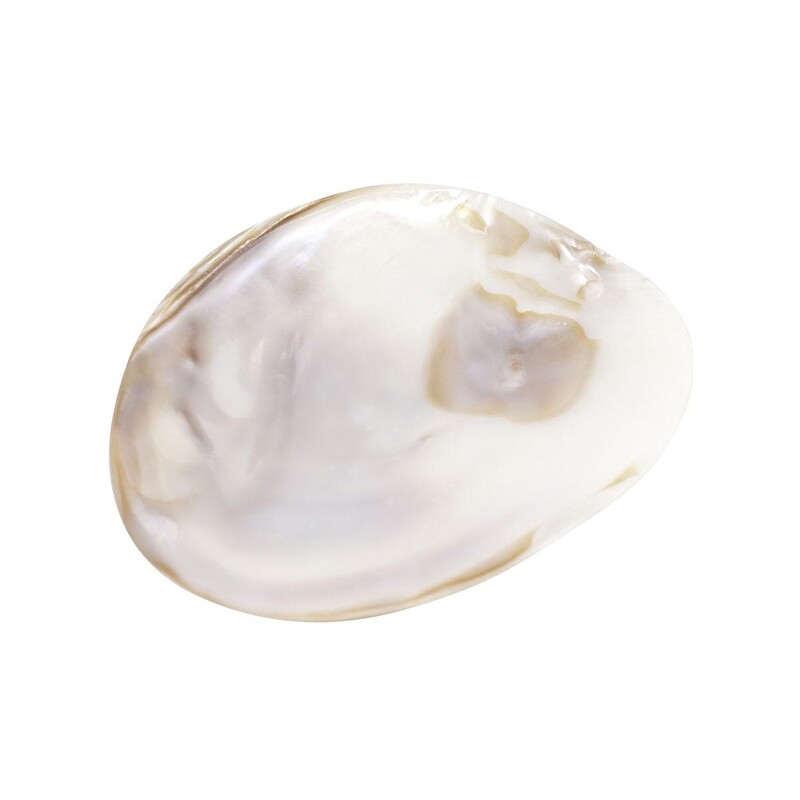 Plate Mother of Pearl Handcarved 4.11x3.3in