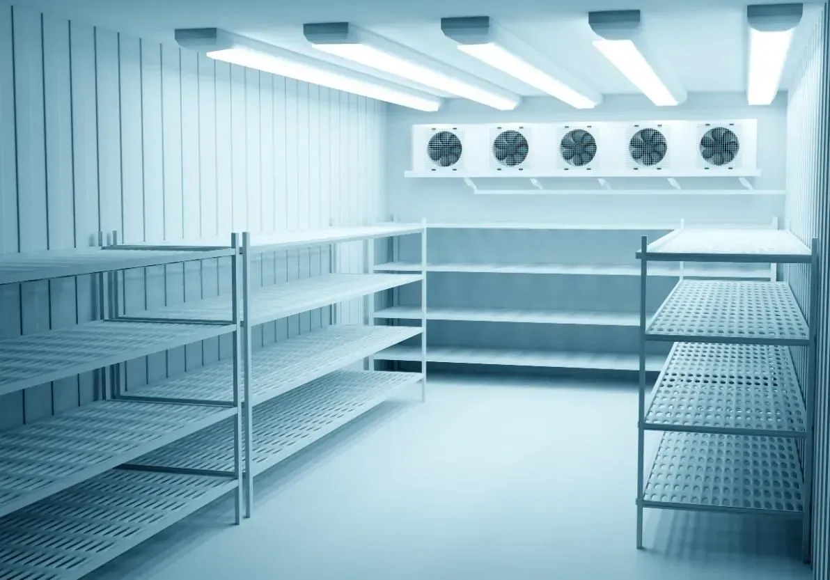 CÁMARA DE 60MM REFRIGERACIÓN SIN SUELO
