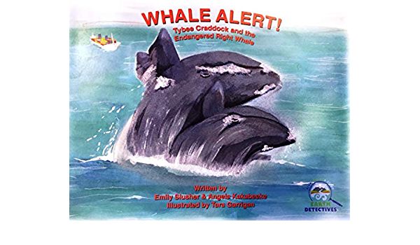 Whale Alert!