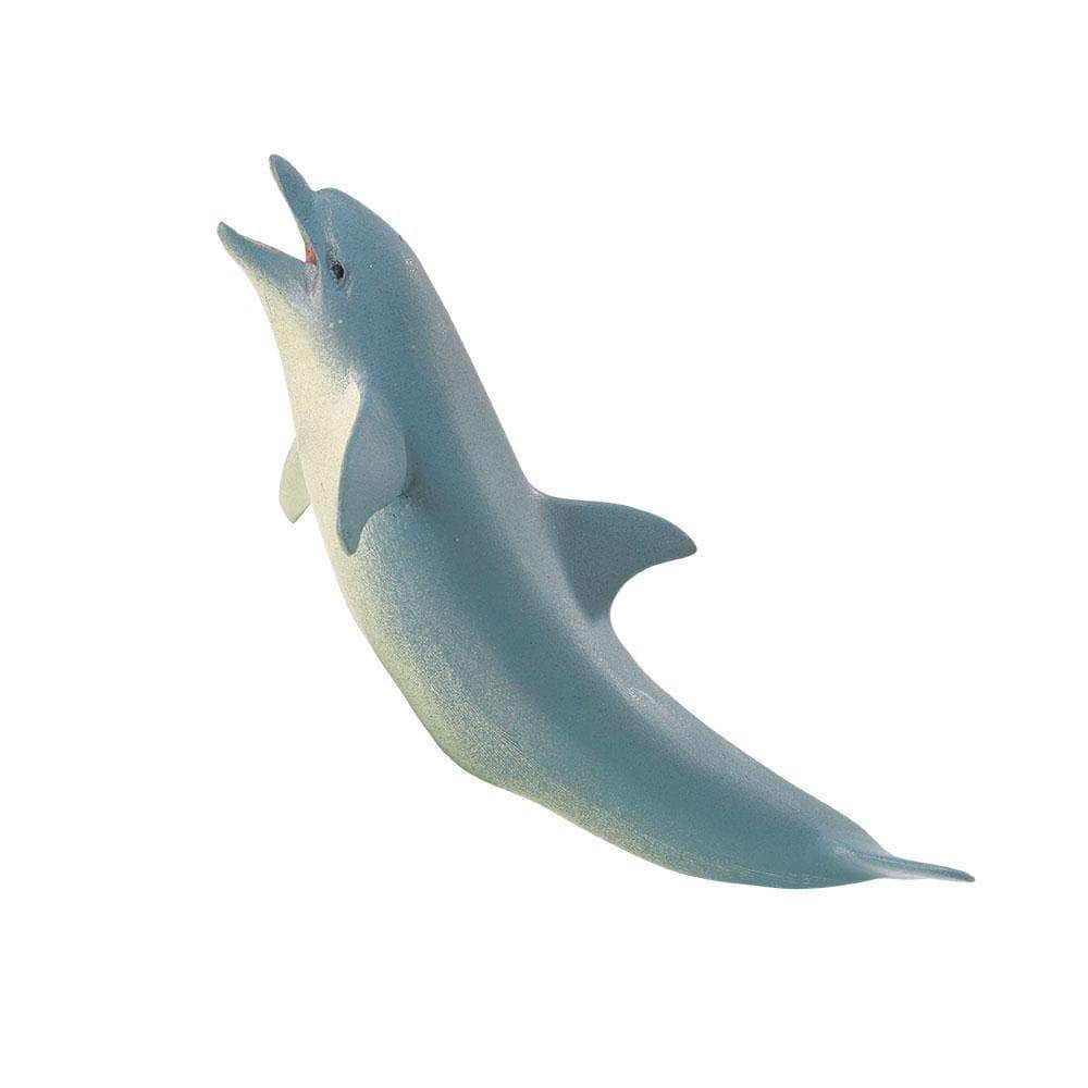 Adult Dolphin Safari/275329