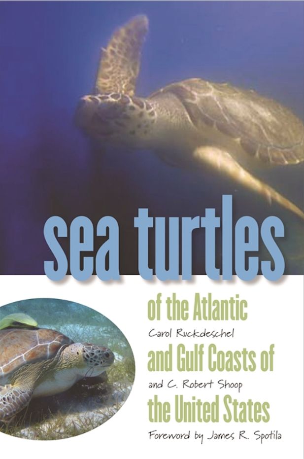 SEA TURTLES OF ATLANTIC & GULF COAST