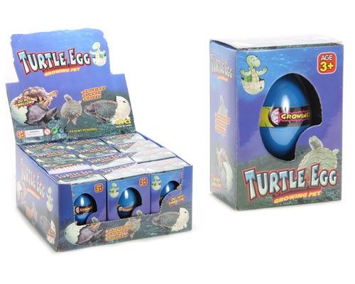 GROW TURTLE EGG/BO8173/12