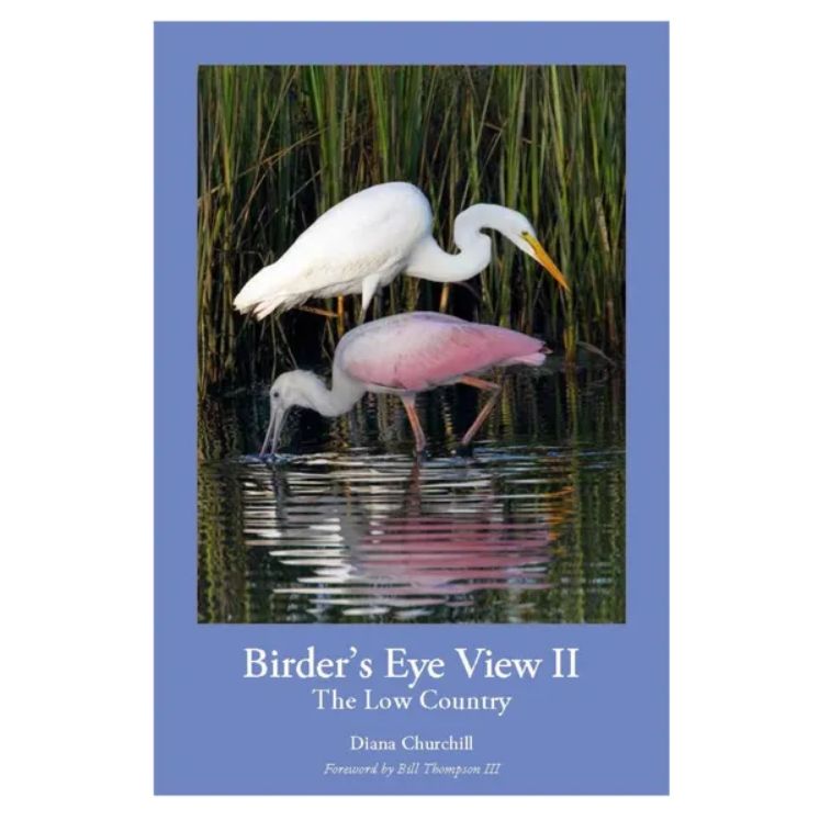 BIRDER'S EYE VIEW II