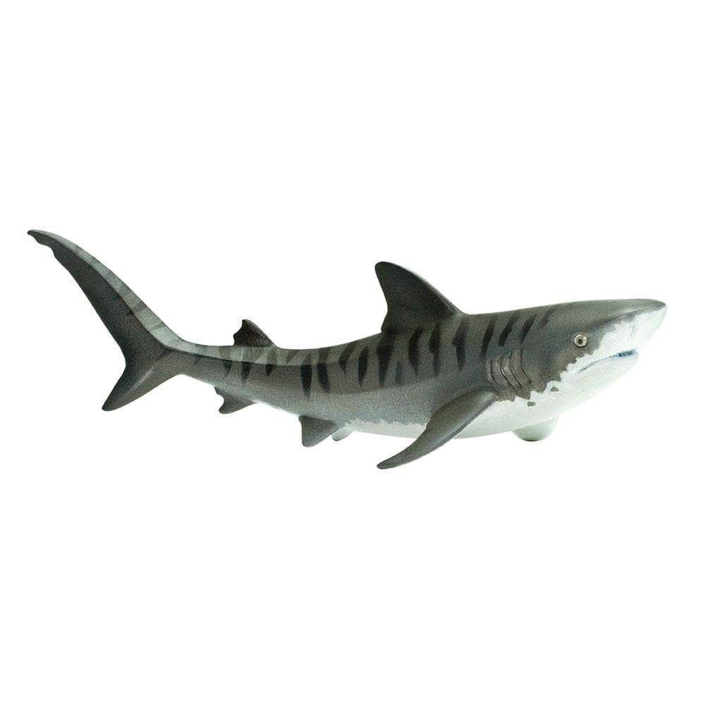 Tiger Shark Safari
