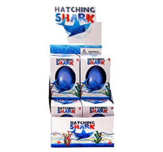 Hatching Shark  TY519/12