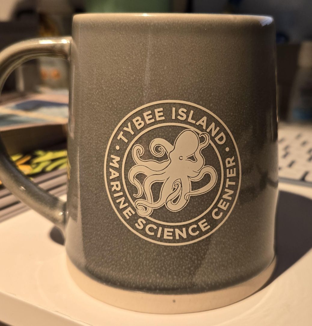 TIMSC 16oz dino Mug/72