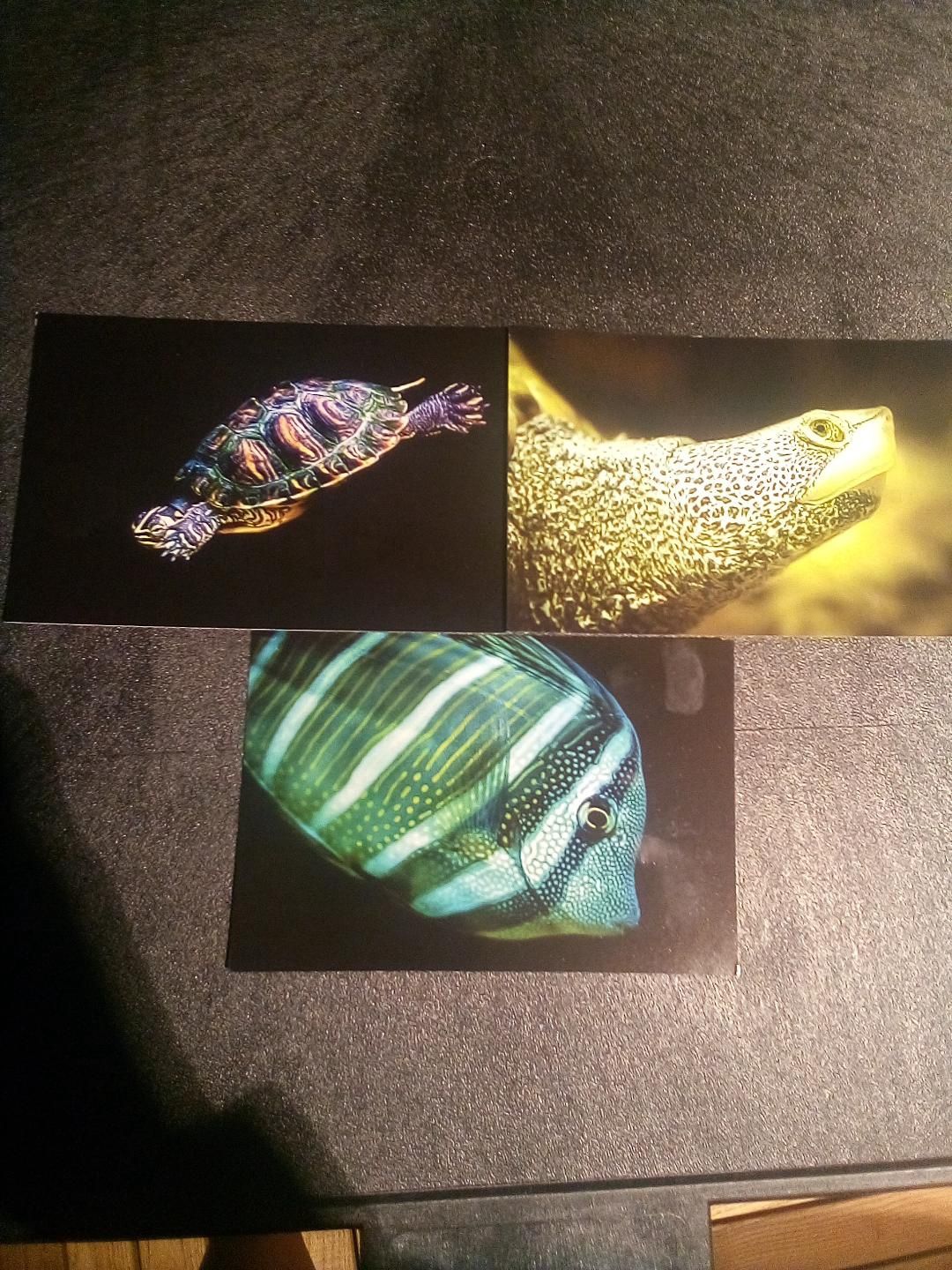 Postcard, Assorted