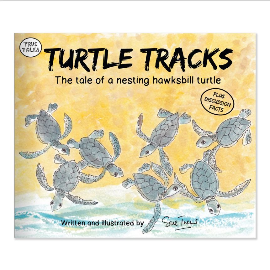 Turtle Tracks Book/51872/12