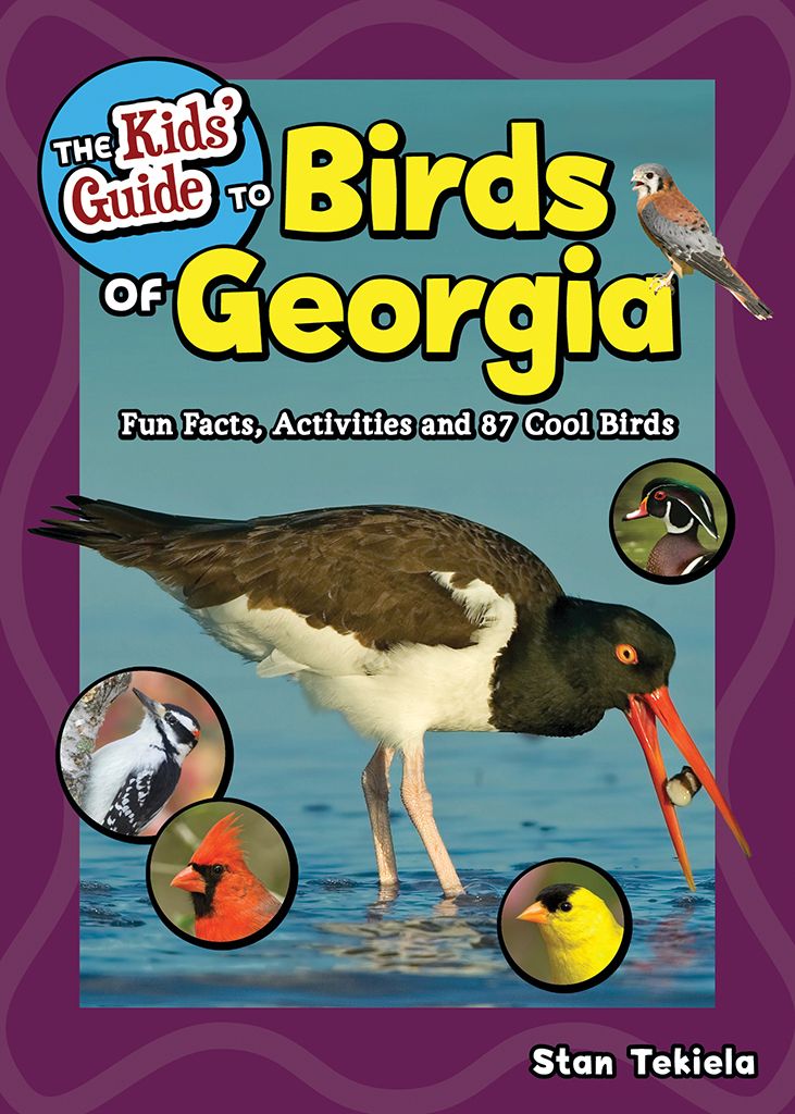 Kids Guide Birds of Georgia