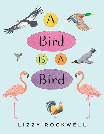 A BIRD IS A BIRD