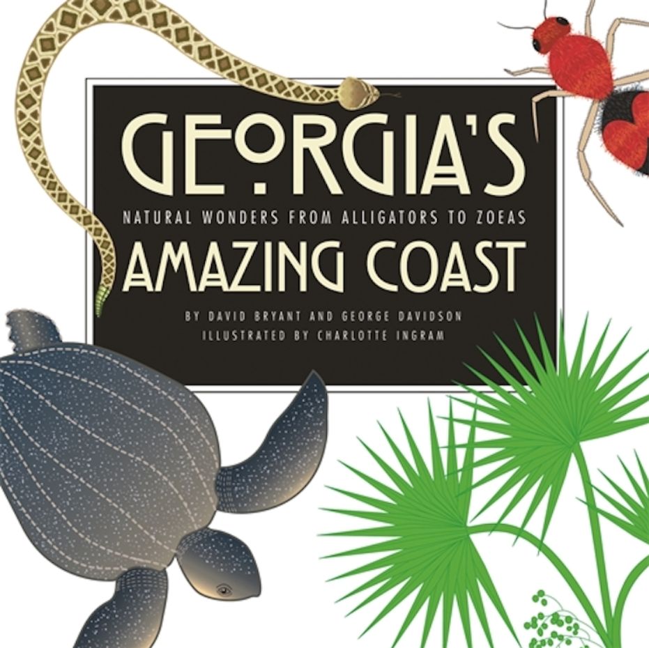 GEORGIA'S AMAZING COAST