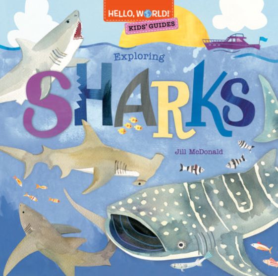 Explore Sharks