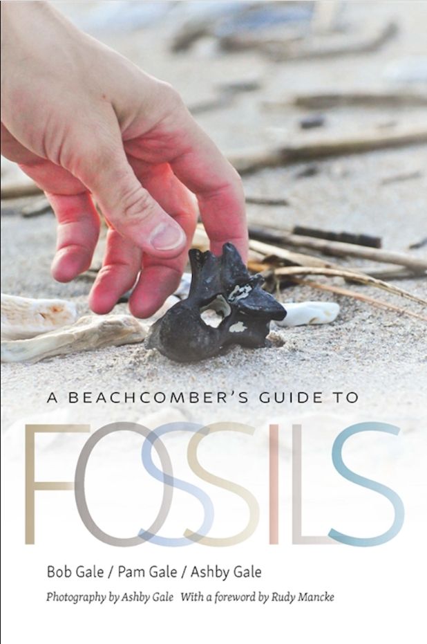 A BEACHCOMBER GUIDE TO FOSSILS