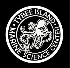 Decal, TIMSC