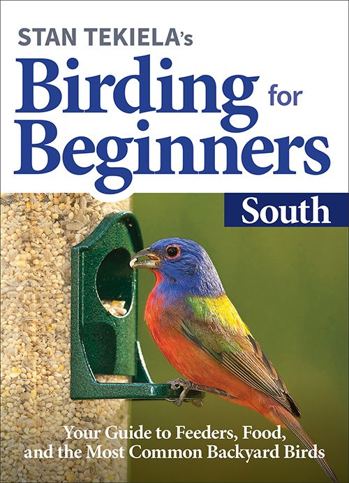 Birding for Beginners: South