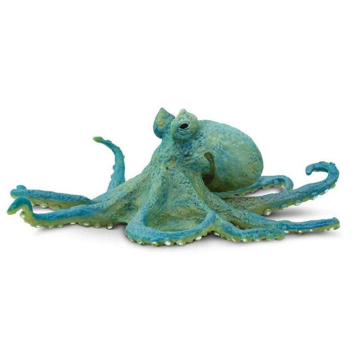 Octopus WS/200929