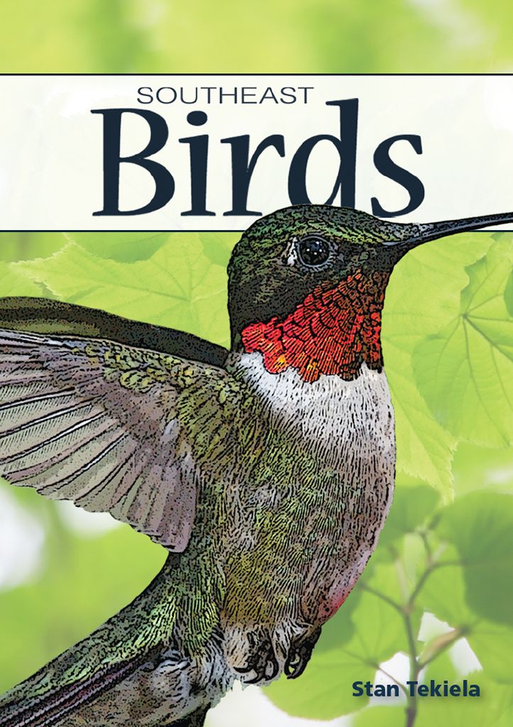 Birds of Southeast Playing Cards