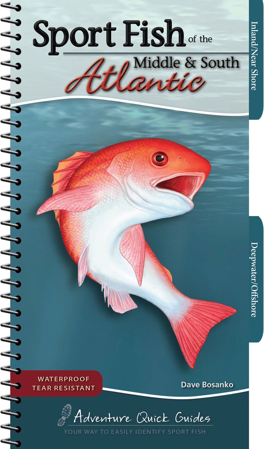 SPORT FISH ATLANTIC