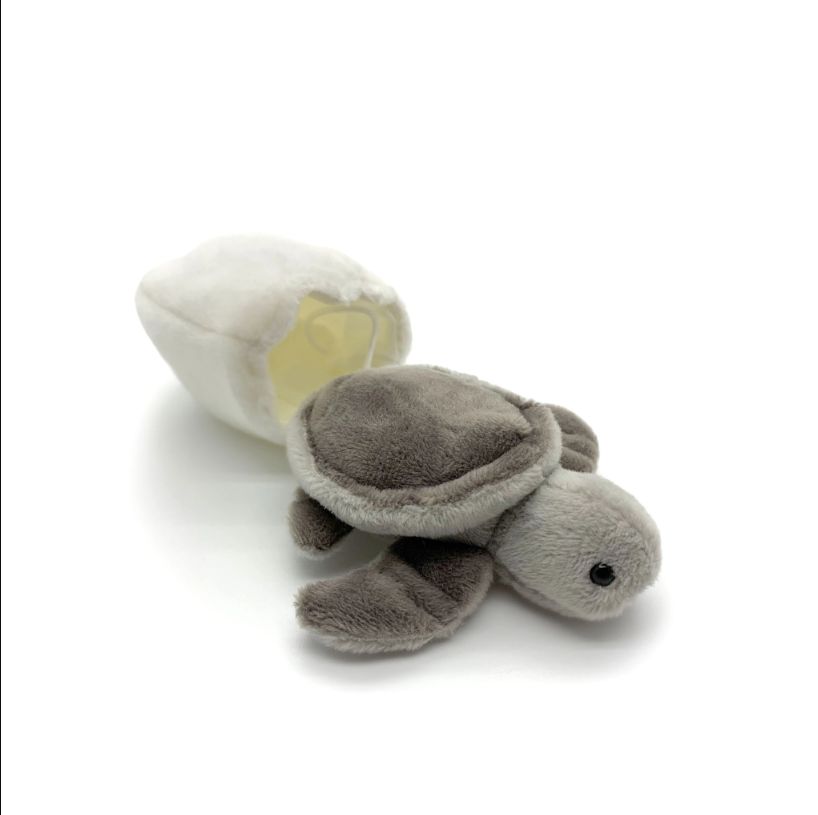 MOONLIGHT GREY HATCHLING/56202/12