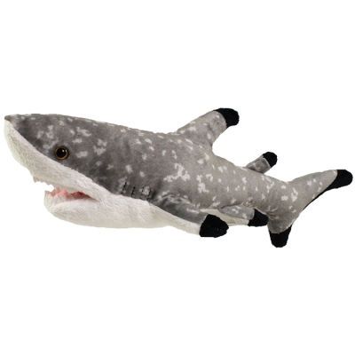 Shark Black Tip 13"/02027/12
