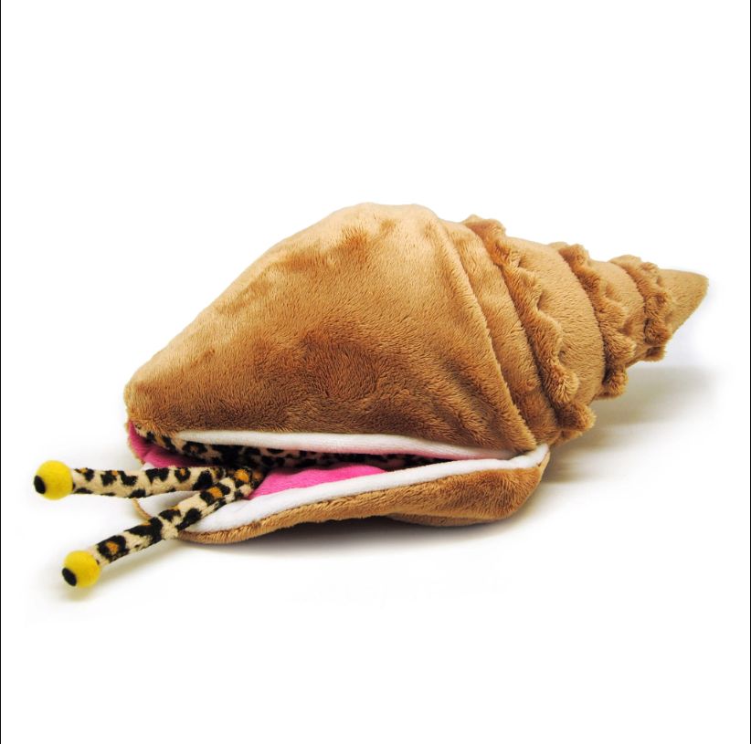 CALYPSO CONCH W/PUPPET/56211/6