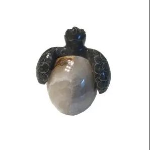 Marble Turtle Hatchling 3"/ME-3/4