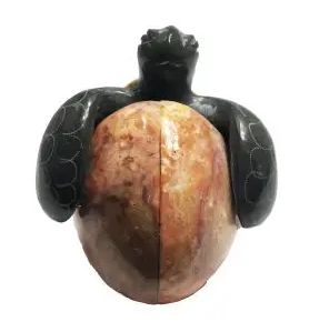 Marble Turtle Hatchling 2"/ME-1/12