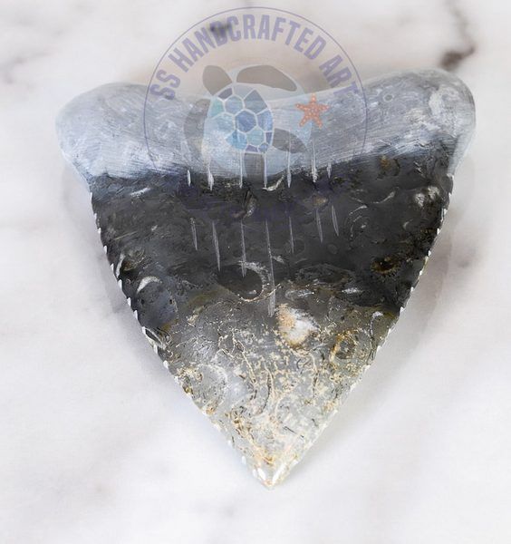 Shark Tooth, 2"/MMT-2/12
