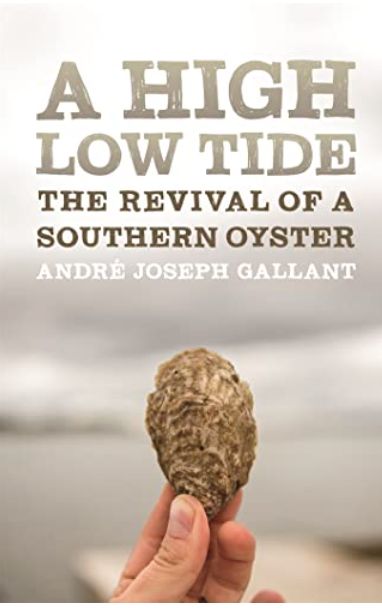 A High Low Tide