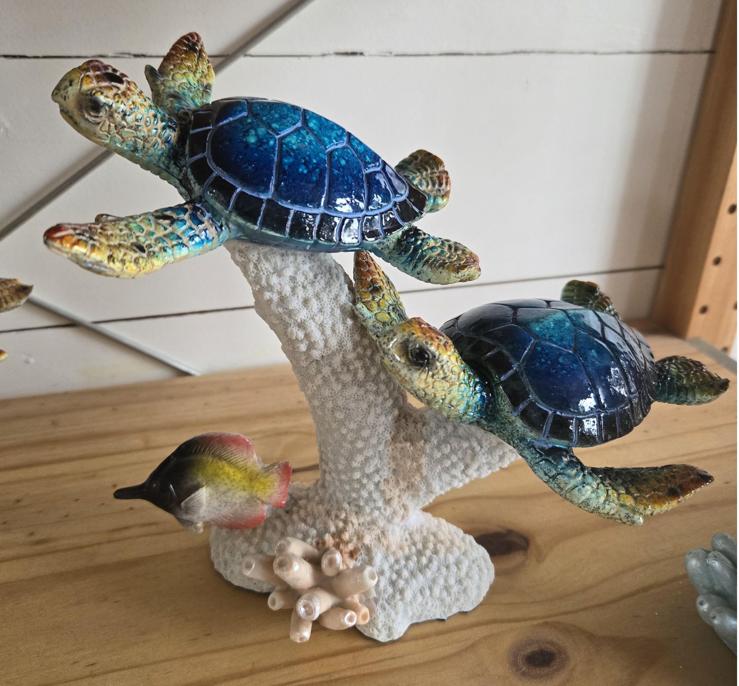 Turtle Blue on Coral/T1164/2